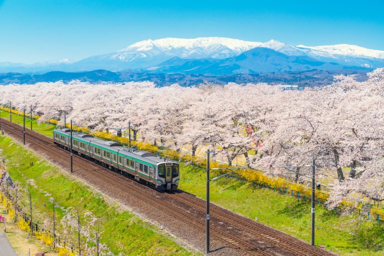 getting-around-train
