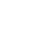 Boat Rentals 