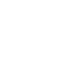 Airport Shuttle 